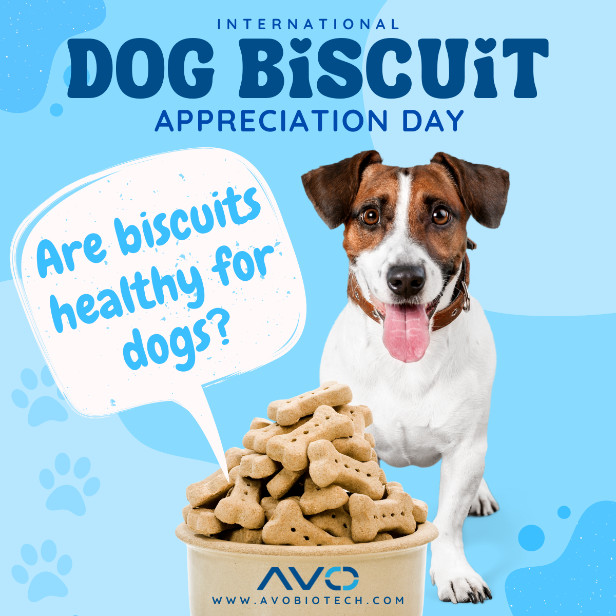 Can humans eat dog biscuits best sale