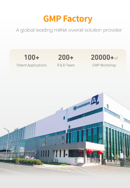 Synthgene mRNA product line & service 